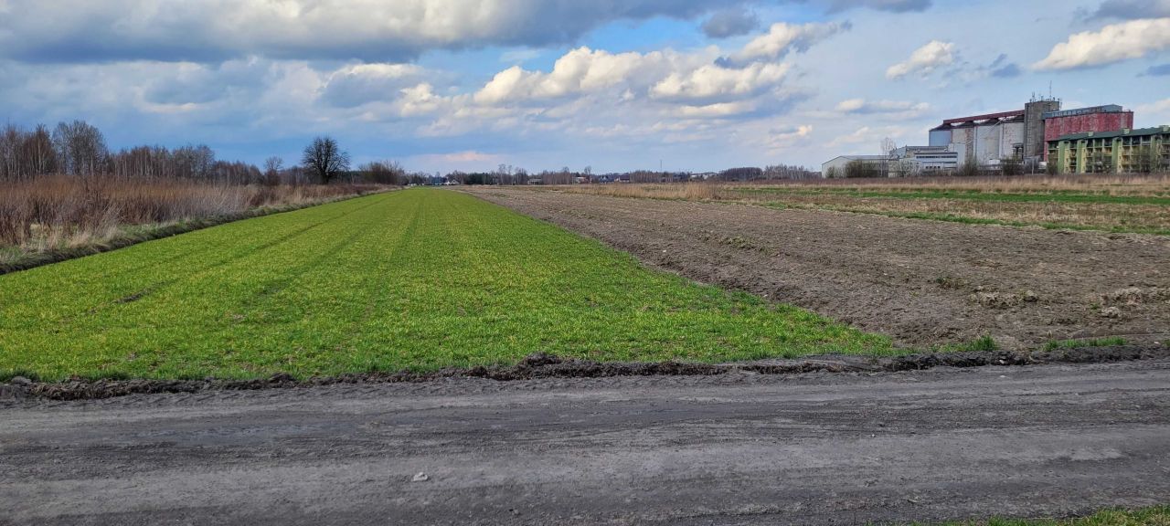 Działka rolna Łuków, ul. Malinowa. Zdjęcie 2