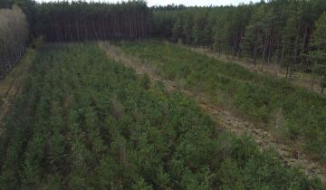 Działka leśna Kiełpin