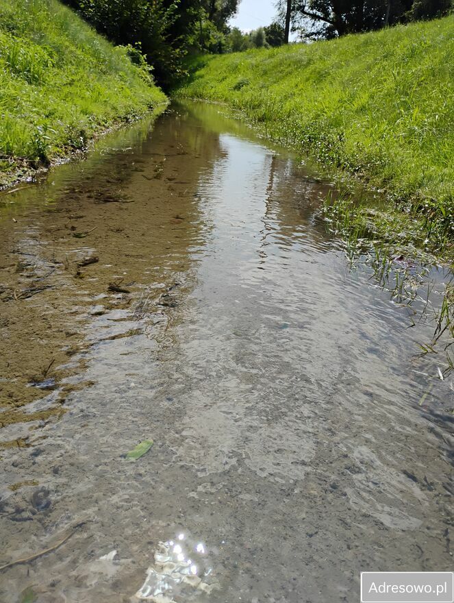 Działka budowlana Góra Świętej Anny. Zdjęcie 5