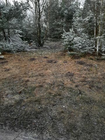 Działka budowlana Mauryców, ul. Dębowa. Zdjęcie 1