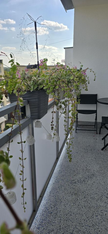 Mieszkanie 2-pokojowe Szczecin Płonia, ul. Przyszłości. Zdjęcie 7