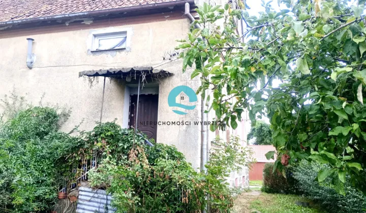 Mieszkanie 3-pokojowe Piotraszewo