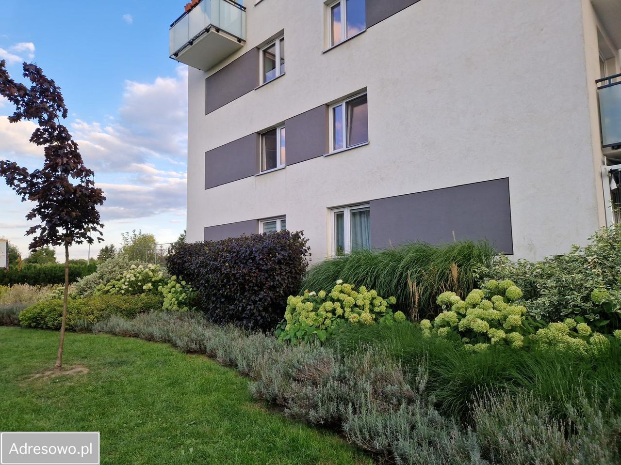 Mieszkanie 3-pokojowe Wrocław Psie Pole, ul. Hugona Kowarzyka. Zdjęcie 12