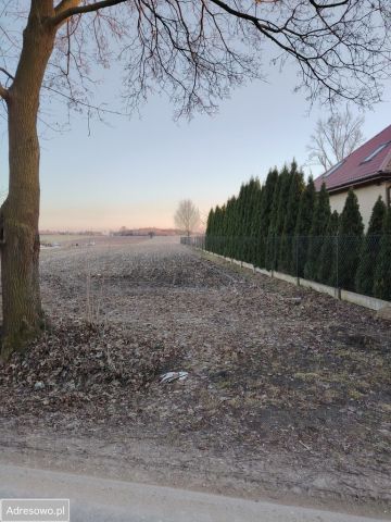 Działka rolno-budowlana Wola Niechcicka Stara. Zdjęcie 1