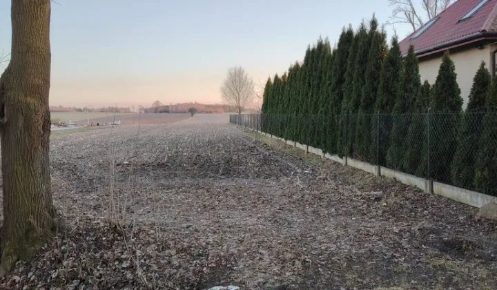 Działka rolno-budowlana Wola Niechcicka Stara