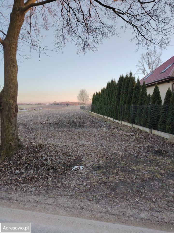 Działka rolno-budowlana Wola Niechcicka Stara. Zdjęcie 1