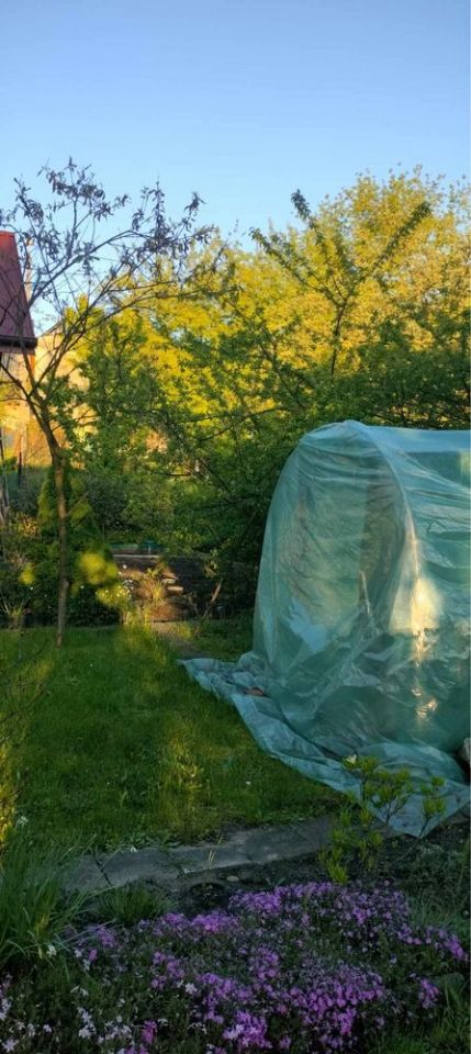 Działka rod Tarnów, ul. Elektryczna. Zdjęcie 8