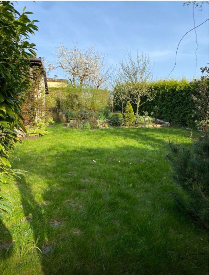 Działka rod Szczecin Niebuszewo, ul. Przyjaciół Żołnierza. Zdjęcie 5