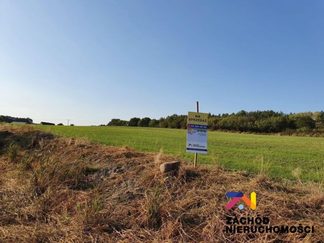 Działka budowlana Drągowina. Zdjęcie 6