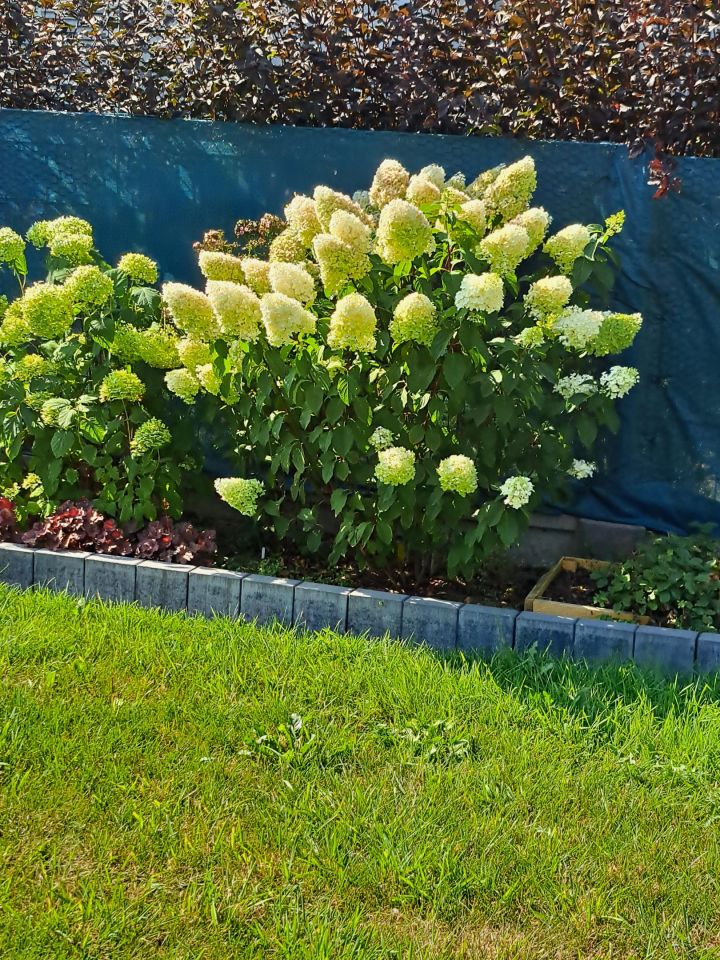 bliźniak, 6 pokoi Osowiec, ul. Pańska. Zdjęcie 2