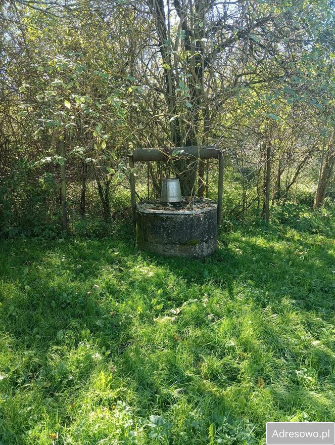 Działka siedliskowa Osiek. Zdjęcie 7