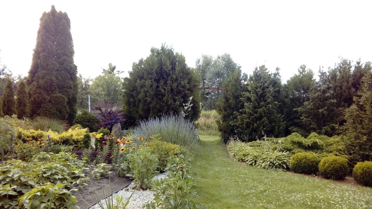 Działka rod Śrem, ul. Farna. Zdjęcie 5