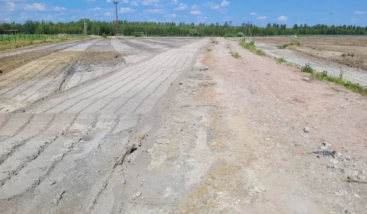 Działka inwestycyjna Chmielów, ul. Zaciszna