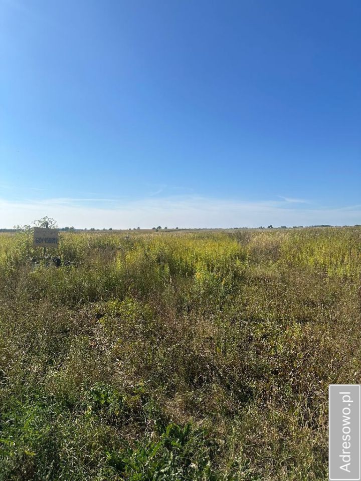 Działka budowlana Lulkowo, ul. Daleka. Zdjęcie 2