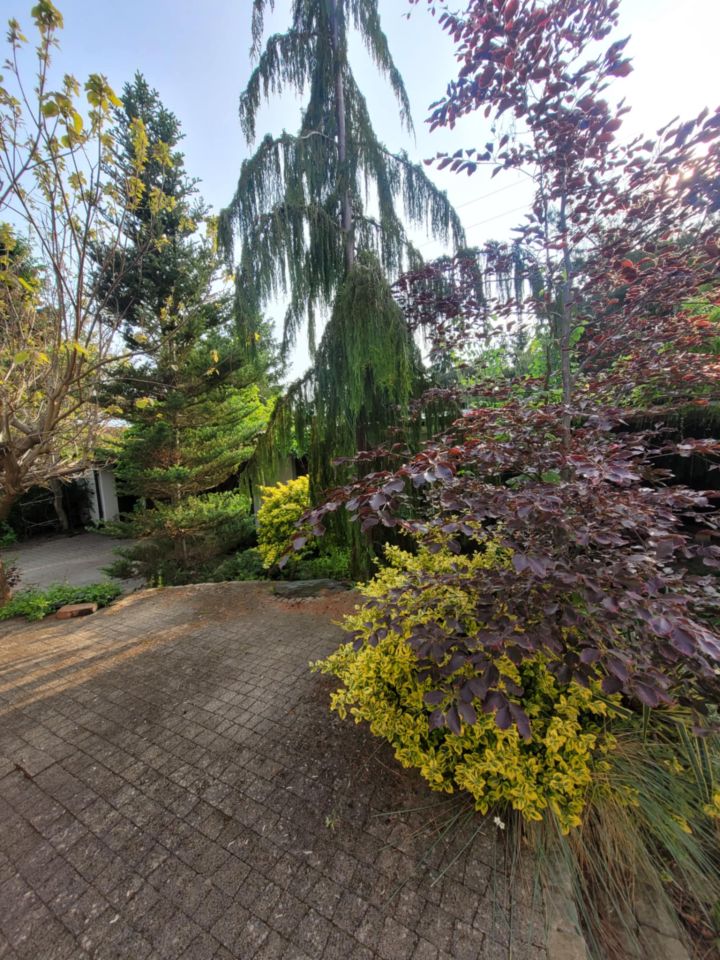 dom wolnostojący, 6 pokoi Białobrzegi, ul. Długa. Zdjęcie 16