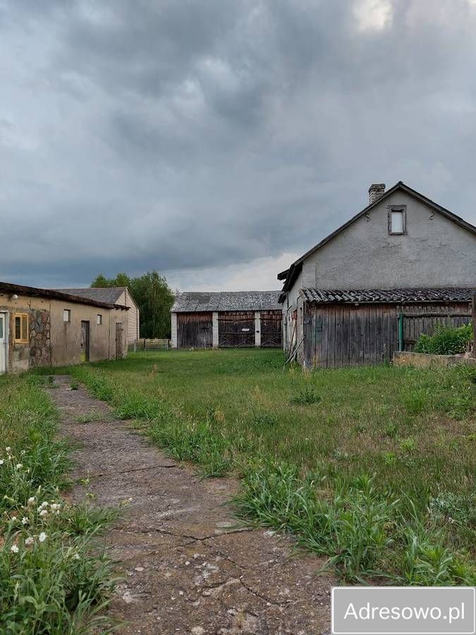 Działka siedliskowa Rusków. Zdjęcie 9