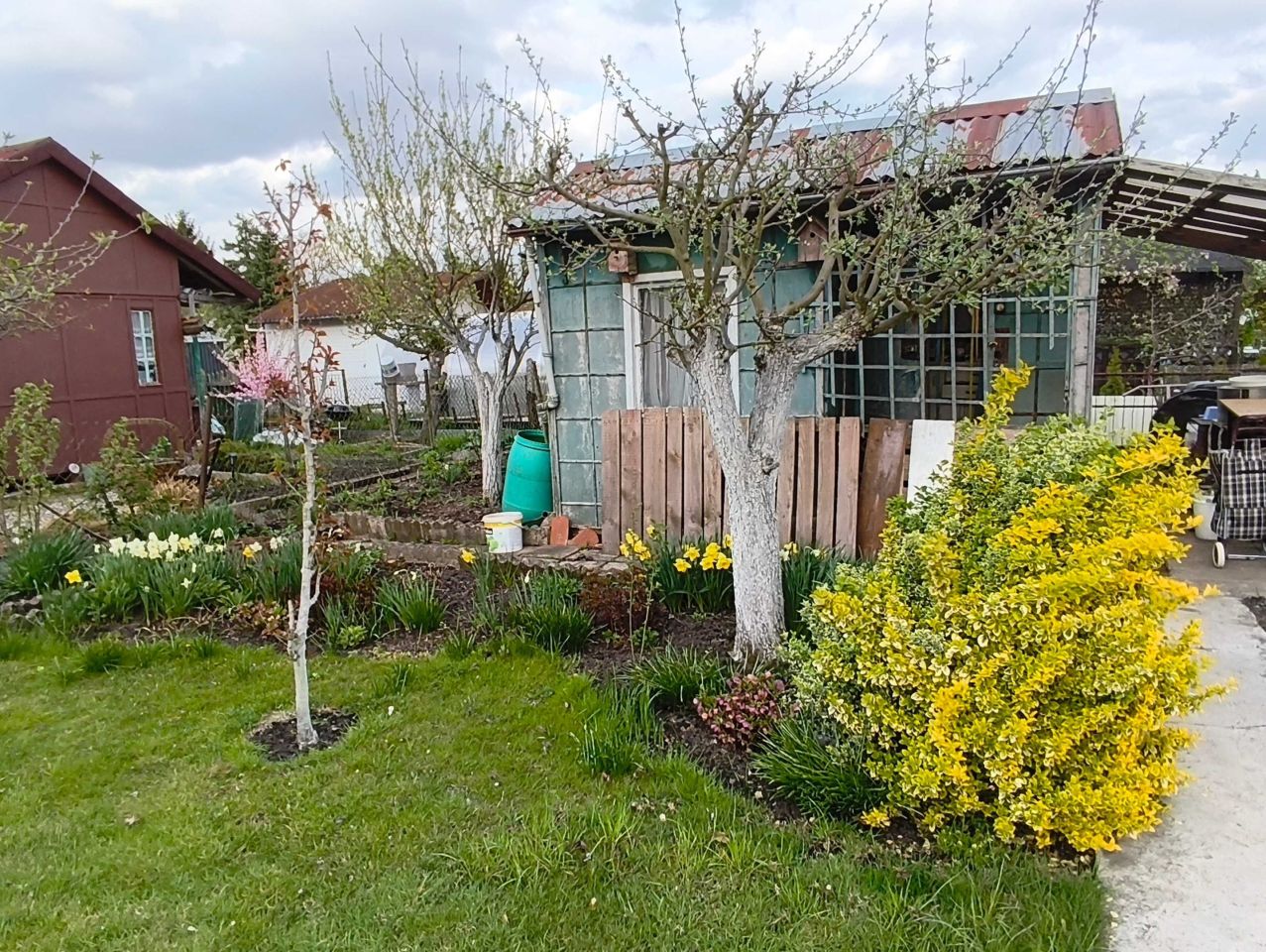 Działka rod Szczecin Pomorzany. Zdjęcie 3