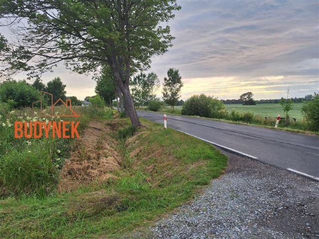 Działka budowlana Darłowo, ul. Klonowa. Zdjęcie 15