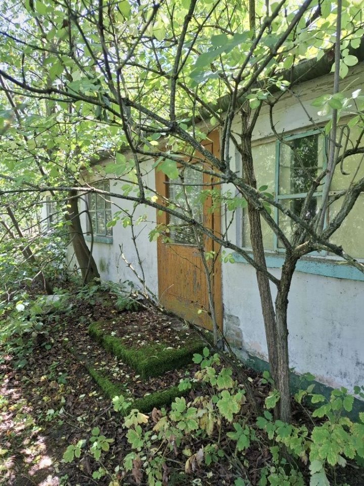 Działka rolno-budowlana Stara Wieś-Kolonia. Zdjęcie 3