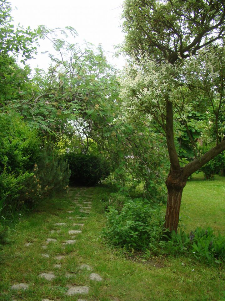 Działka rekreacyjna Czarne Małe. Zdjęcie 29