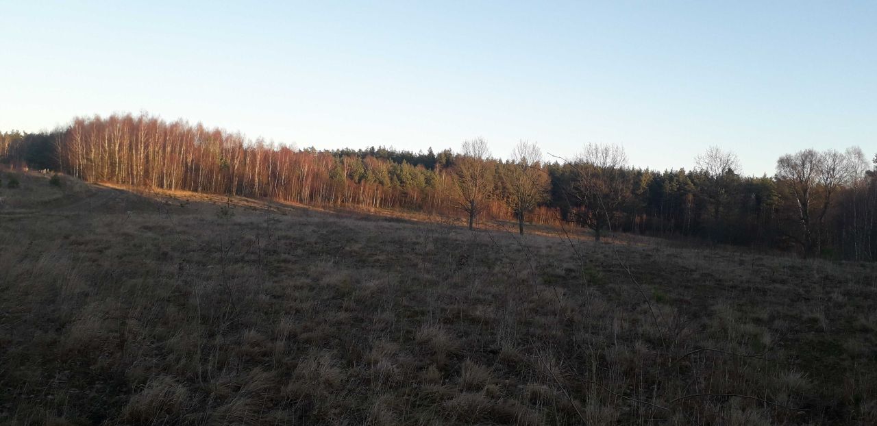 Działka budowlana Kobysewo, ul. Leśna. Zdjęcie 5