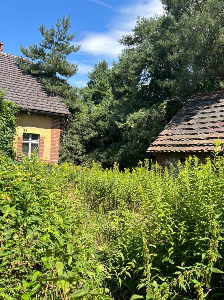 dom wolnostojący Gracze. Zdjęcie 6