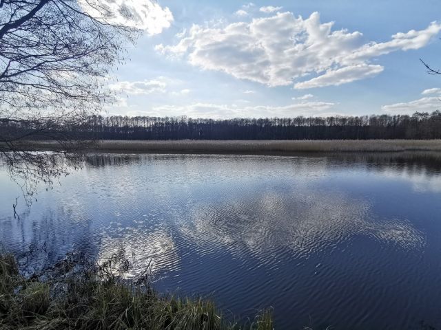 Działka budowlana Tarnówka, ul. Fabryczna. Zdjęcie 19