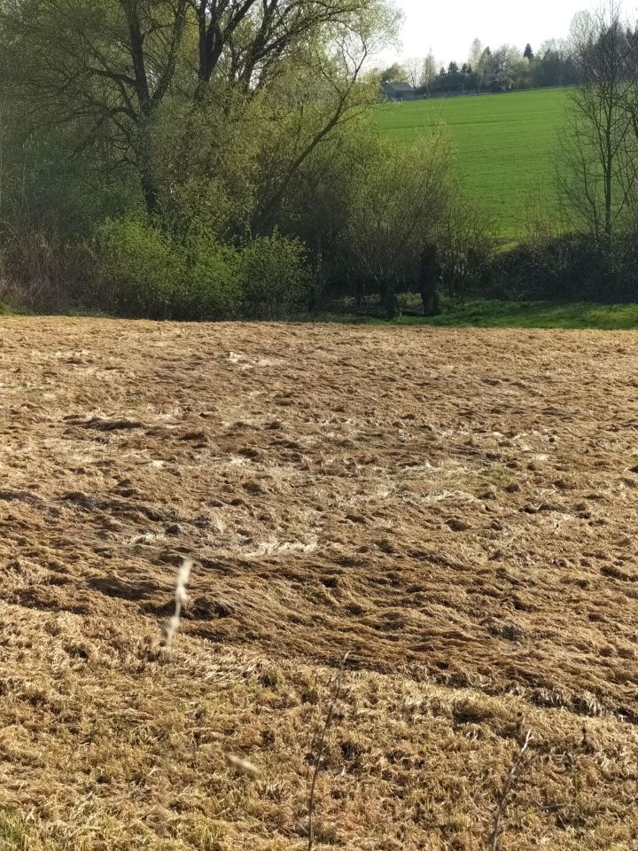 Działka rolna Kościejów, droga po działce 682. Zdjęcie 5