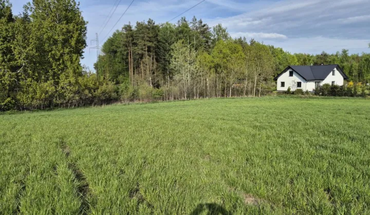 Działka budowlana Skrzeszewo