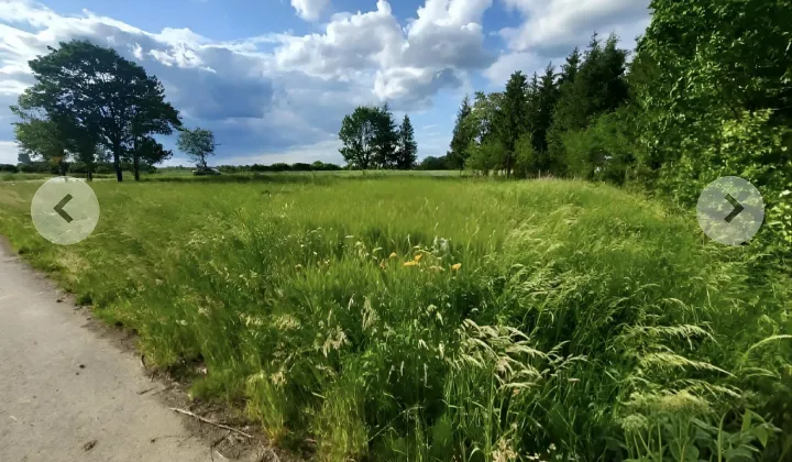 Działka rolna Łąka