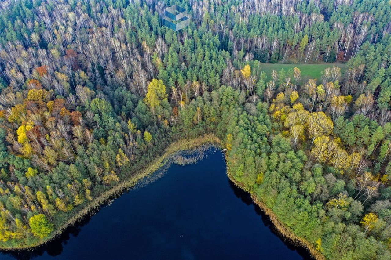 Działka budowlana Ostrowin. Zdjęcie 16