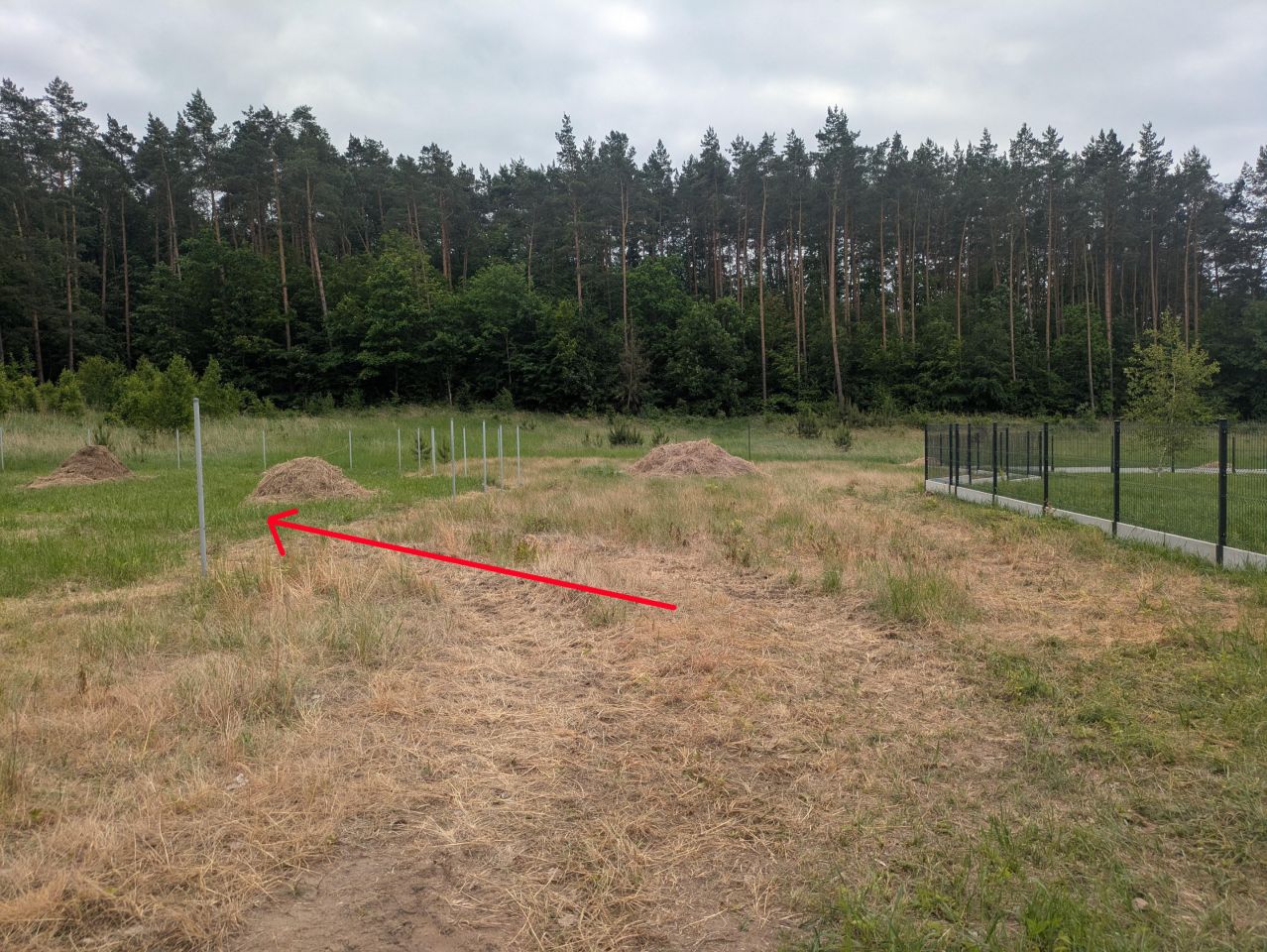 Działka budowlana Górzyska. Zdjęcie 1