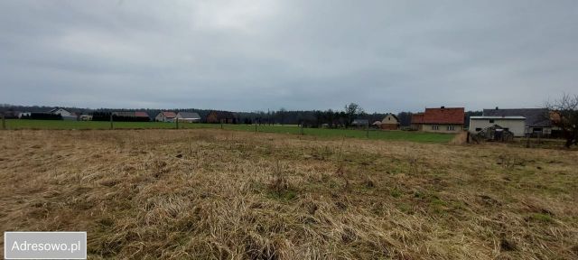 Działka budowlana Borkowice, ul. Leśna. Zdjęcie 1