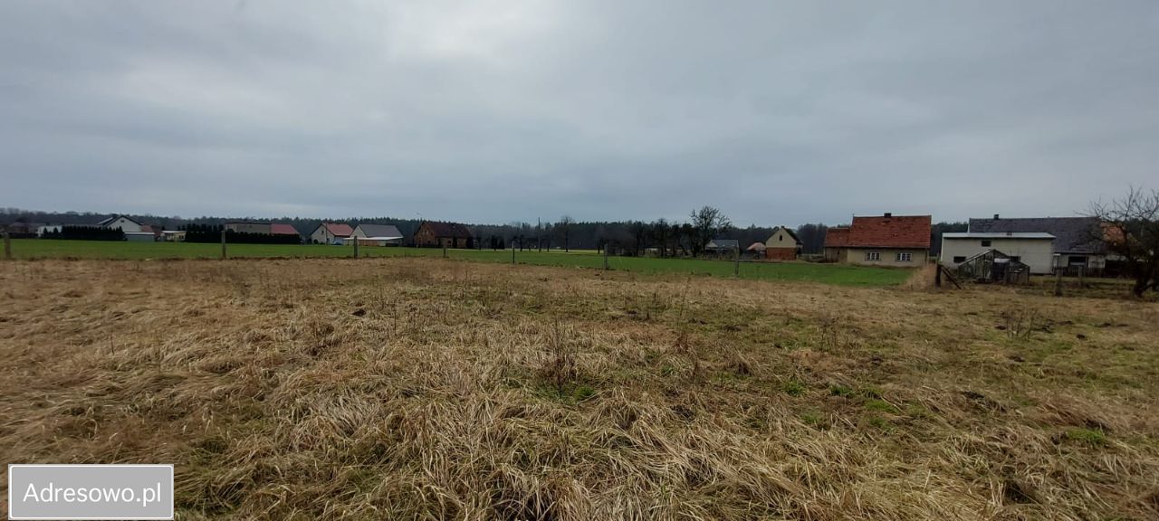 Działka budowlana Borkowice, ul. Leśna