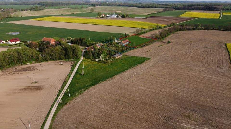 Działka rolno-budowlana Rogajny. Zdjęcie 5