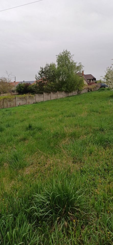 Działka budowlana Mikułowice. Zdjęcie 7