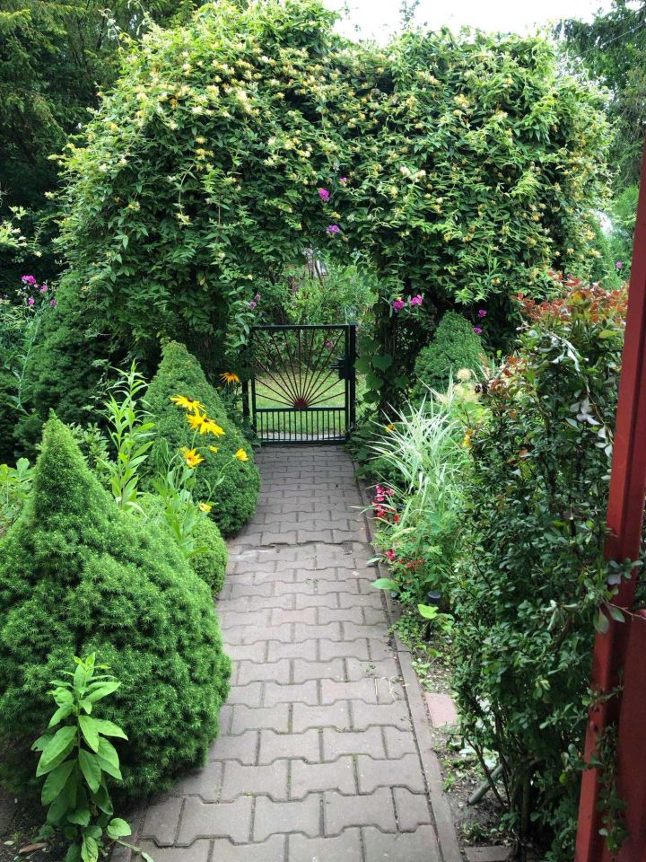 Działka rod Odrano-Wola. Zdjęcie 3