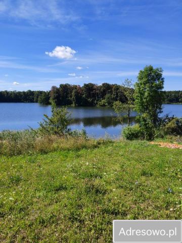 Działka rolno-budowlana Siedliska. Zdjęcie 1