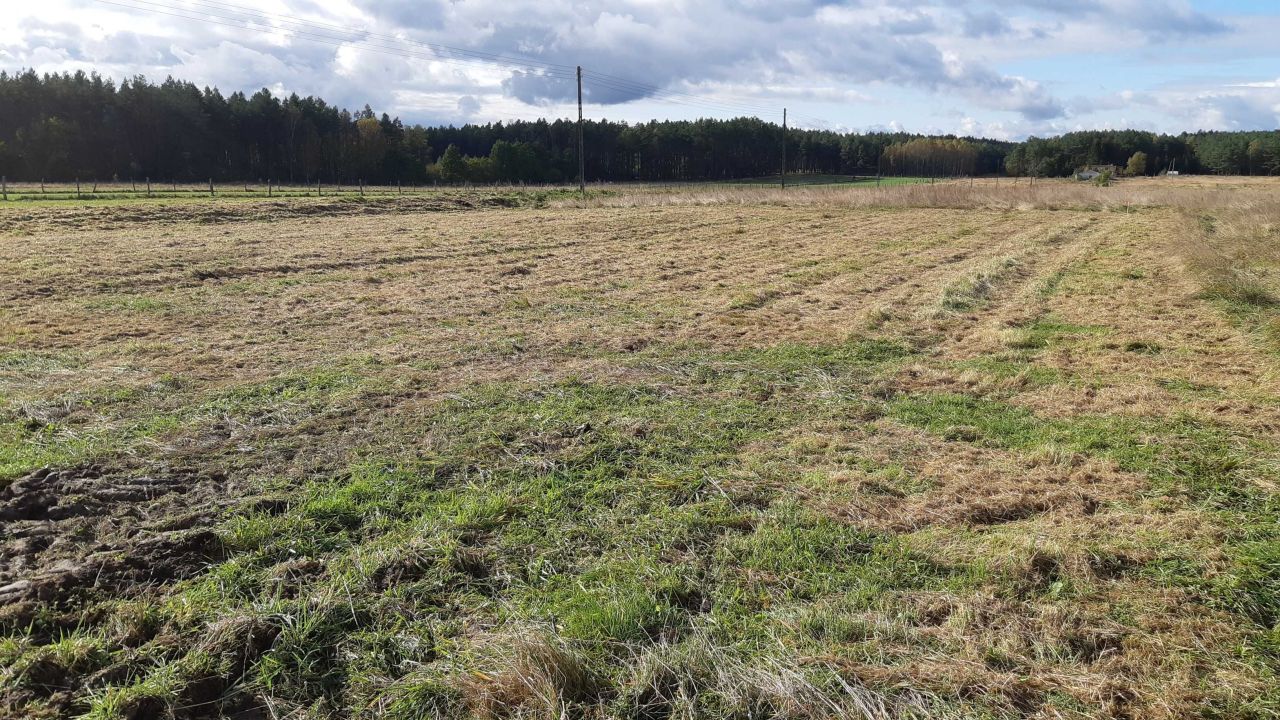 Działka budowlana Zielin Górny. Zdjęcie 7