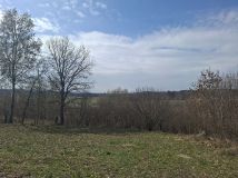 Działka rolna Wojsławice. Zdjęcie 2