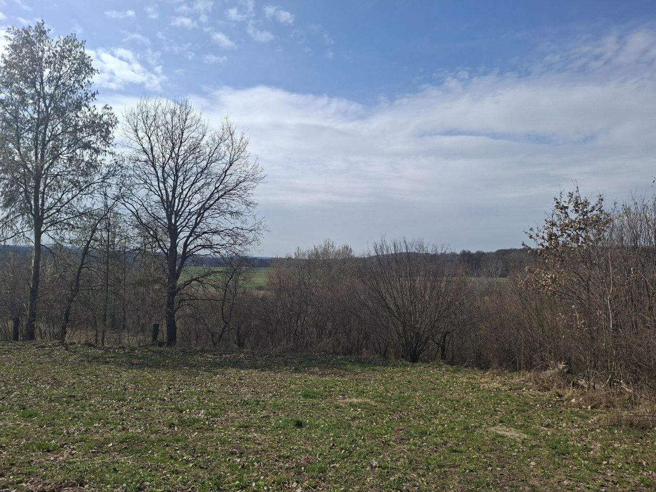 Działka rolna Wojsławice. Zdjęcie 3