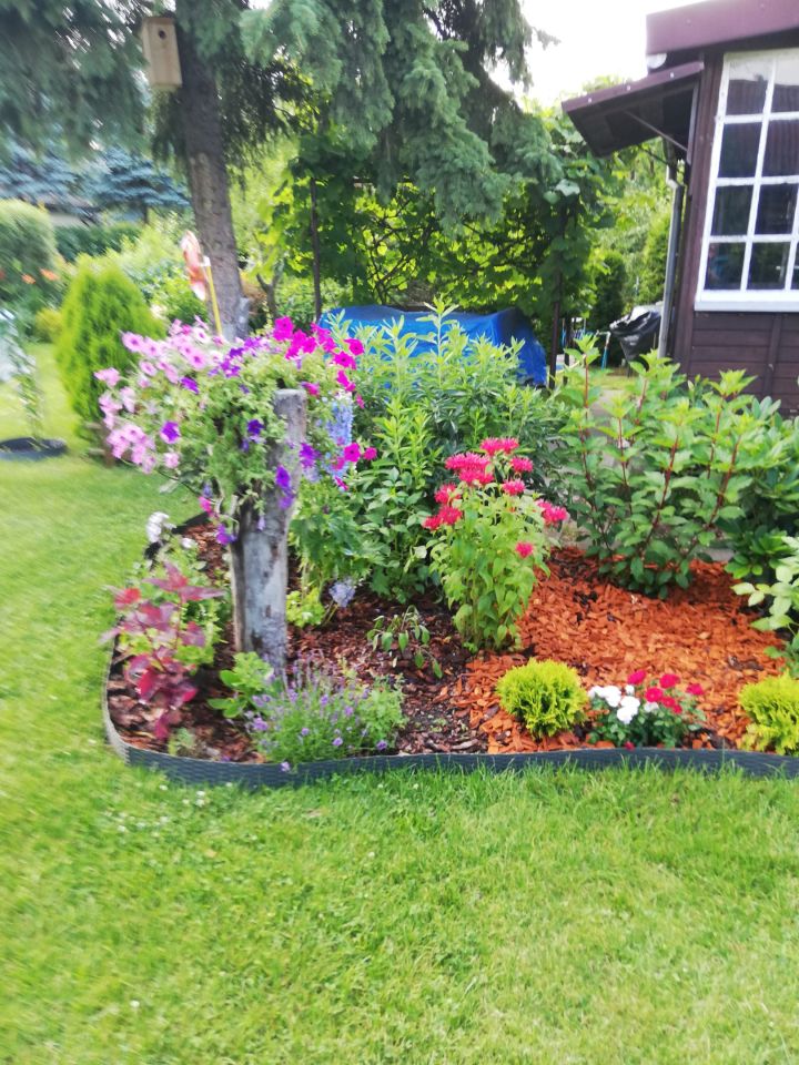 Działka rod Warszawa Bemowo, Dzialka ROD Bemowo II. Zdjęcie 12