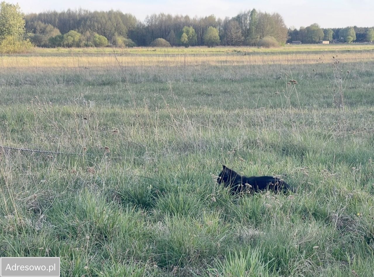 dom wolnostojący, 3 pokoje Białobrzegi. Zdjęcie 6
