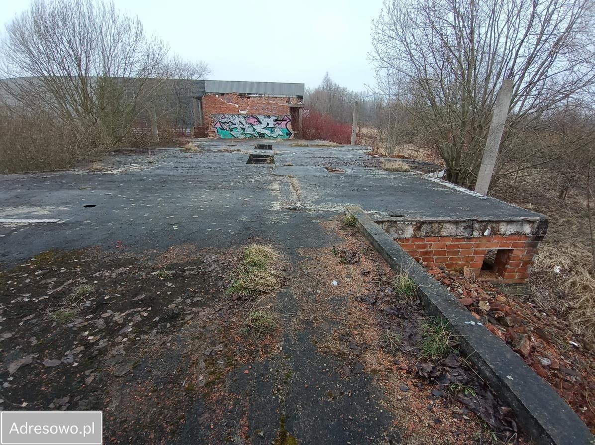 Hala/magazyn Koszalin, ul. Lubuszan. Zdjęcie 4