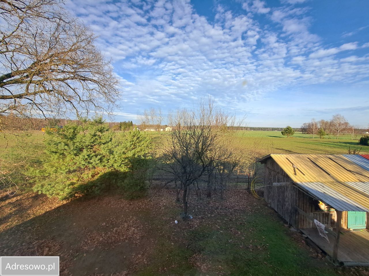 Działka rekreacyjna Rogóźno. Zdjęcie 7