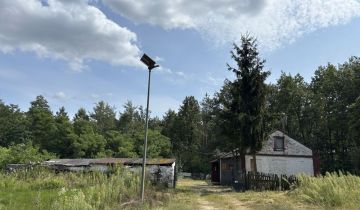 gospodarstwo, 2 pokoje Witoldów