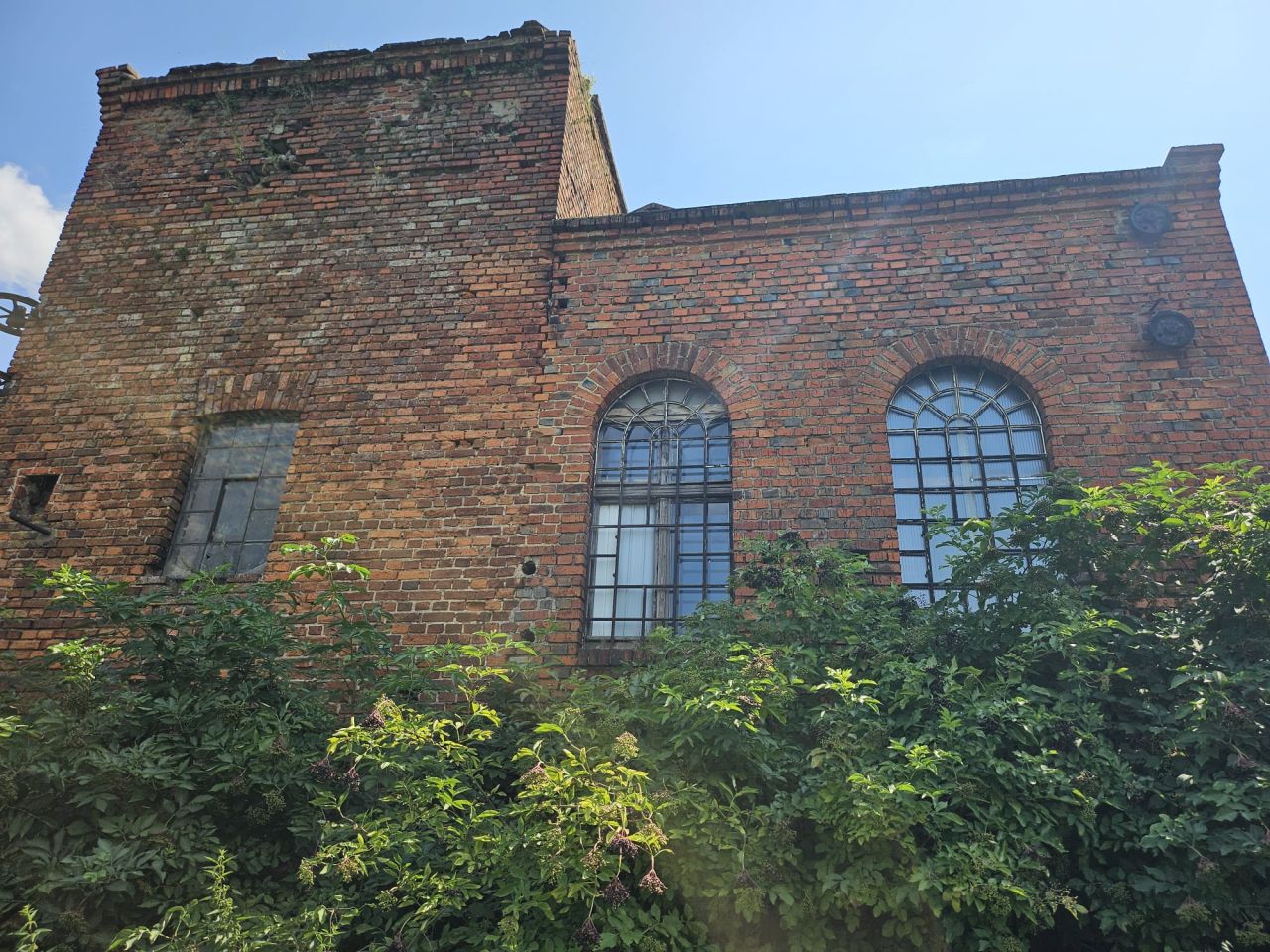 Nieruchomość komercyjna Bucz, ul. Kasztanowa. Zdjęcie 17