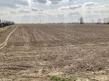 Działka budowlana Zwoleń. Zdjęcie 2