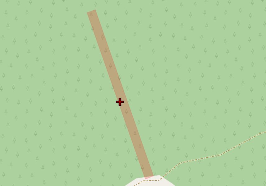 Działka leśna Hedwiżyn. Zdjęcie 2