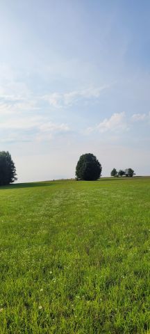 Działka budowlana Sikorzyno, ul. Osiedle Pana Tadeusza. Zdjęcie 5
